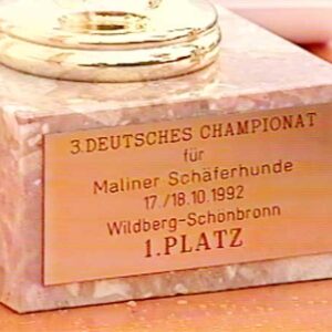 DMC-Championat 1992