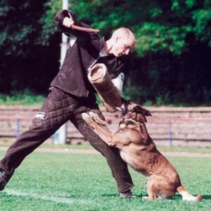 DMC-Championat 2000