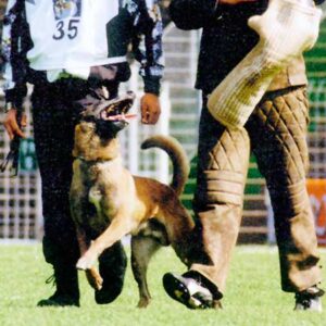FMBB-Weltmeisterschaft 2000