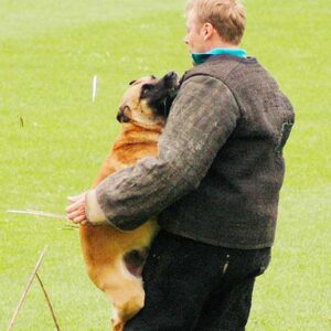 Hart auf Hart