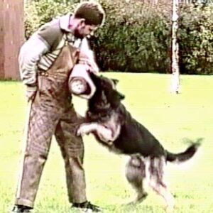 Videoporträt Helmut Wienhusen