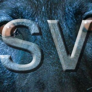 SV-Bundessieger 1996 Jürgen Schmirek